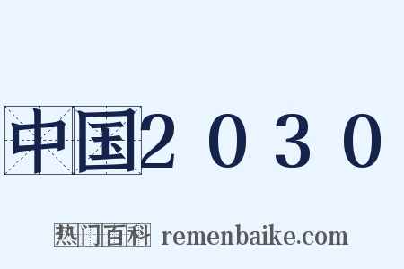 中国2030是什么意思的图片